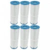 Lot De 6 Filtres Spa (42513 / C-4326 / T-4326 / PRB25-IN / FC-2375)